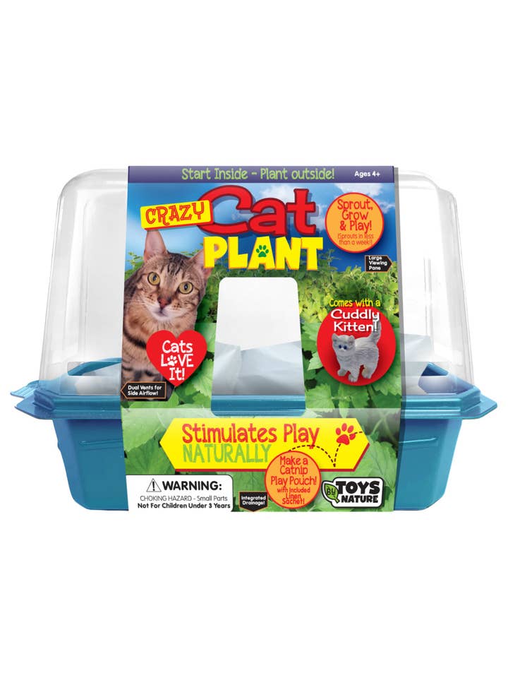 Crazy Cat Plant Mini World Terrarium for wholesale by Silver Circle Products