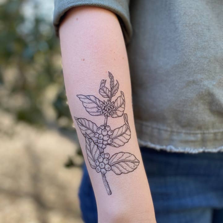 NatureTats - Wholesale Temporary Tattoo - Coffee Plant Temporary Tattoo