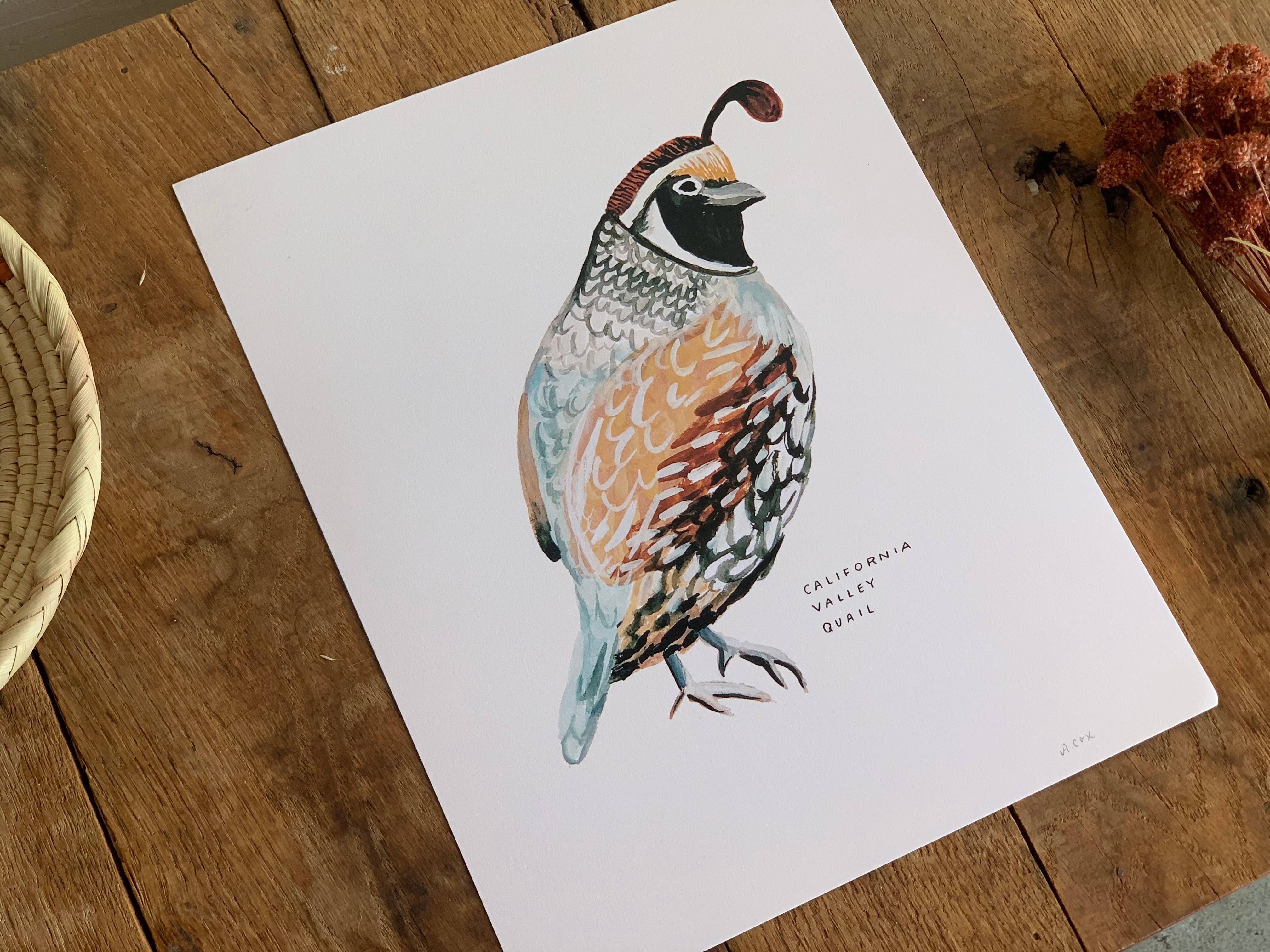 Little Salt Wagon - Wholesale Art Print - California Valley Quail Bird Art Print Home Wall Decor2