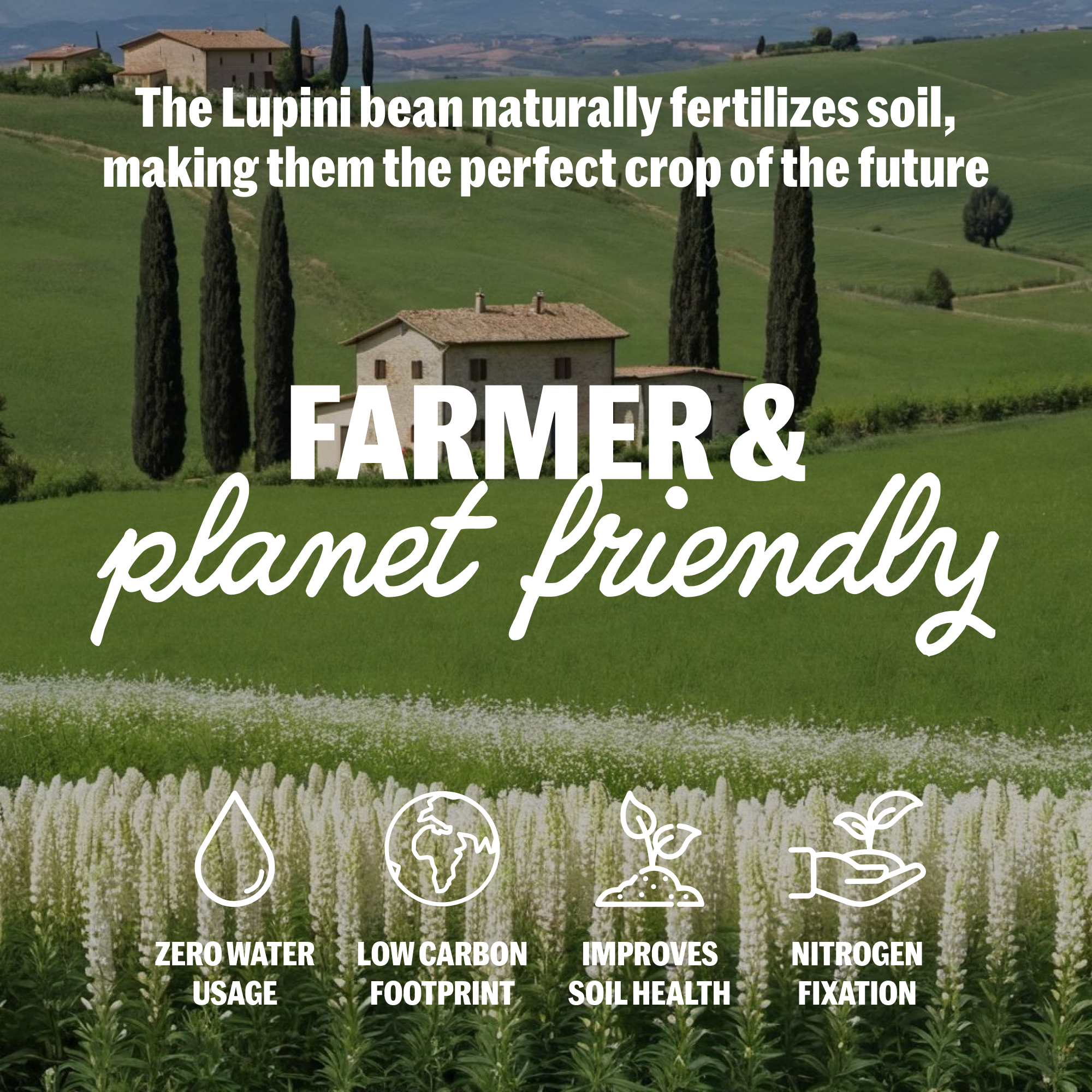 Brami - Vente Pâtes - Pâtes à la semoule de blé et au lupin | Fusilli (12 oz)5