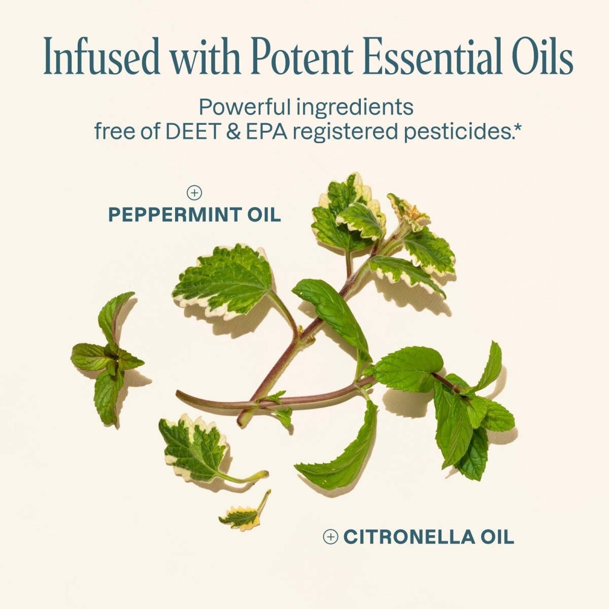 Cliganic - Wholesale Insect Repellent - Mosquito Repellent Patches - Positive Vibes2