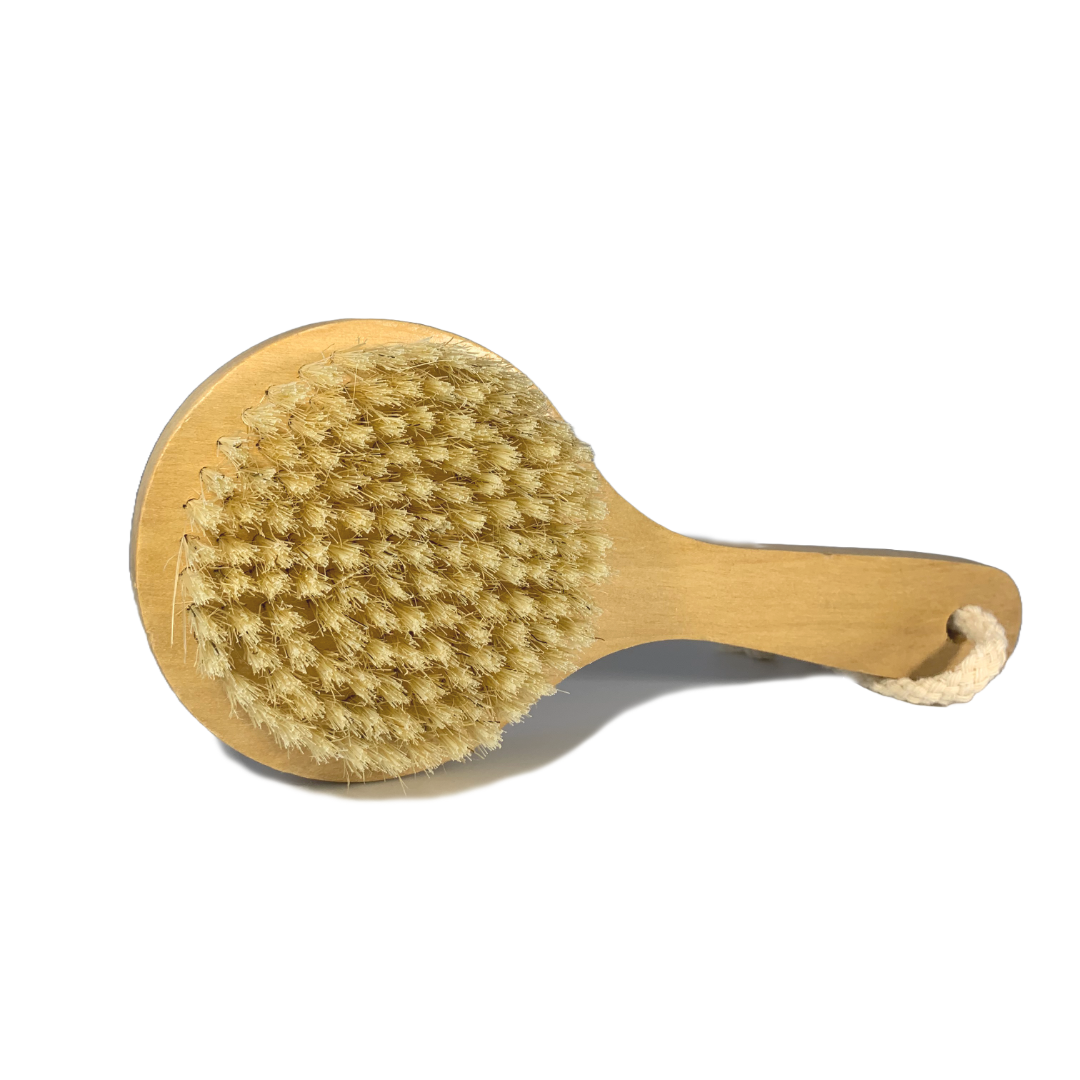 Anthro Apothecary - Wholesale Body Brush - Body Brush1