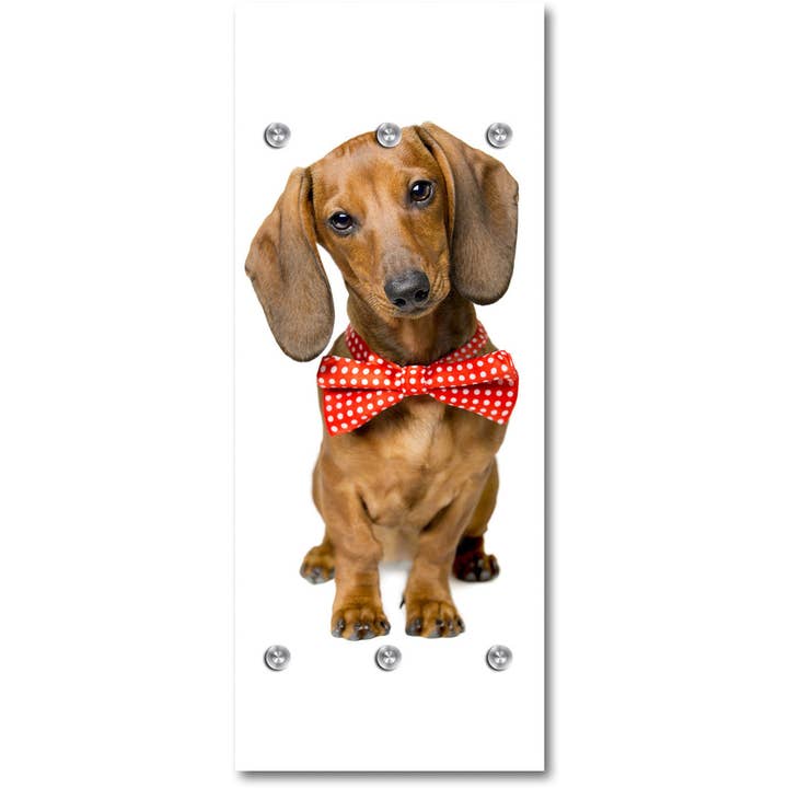 Garderobe - Silly Clot for engroshandel hos Queence