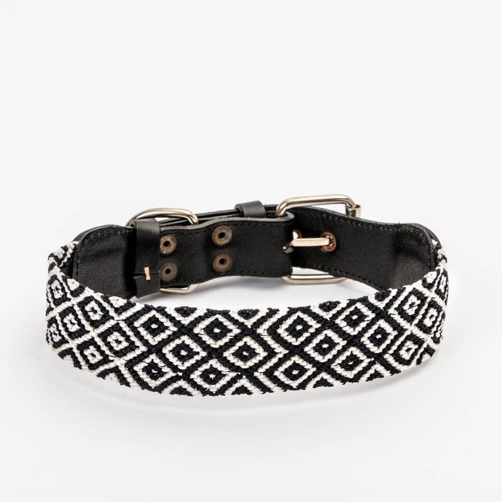Morelia Collar for wholesale by Paw It Up