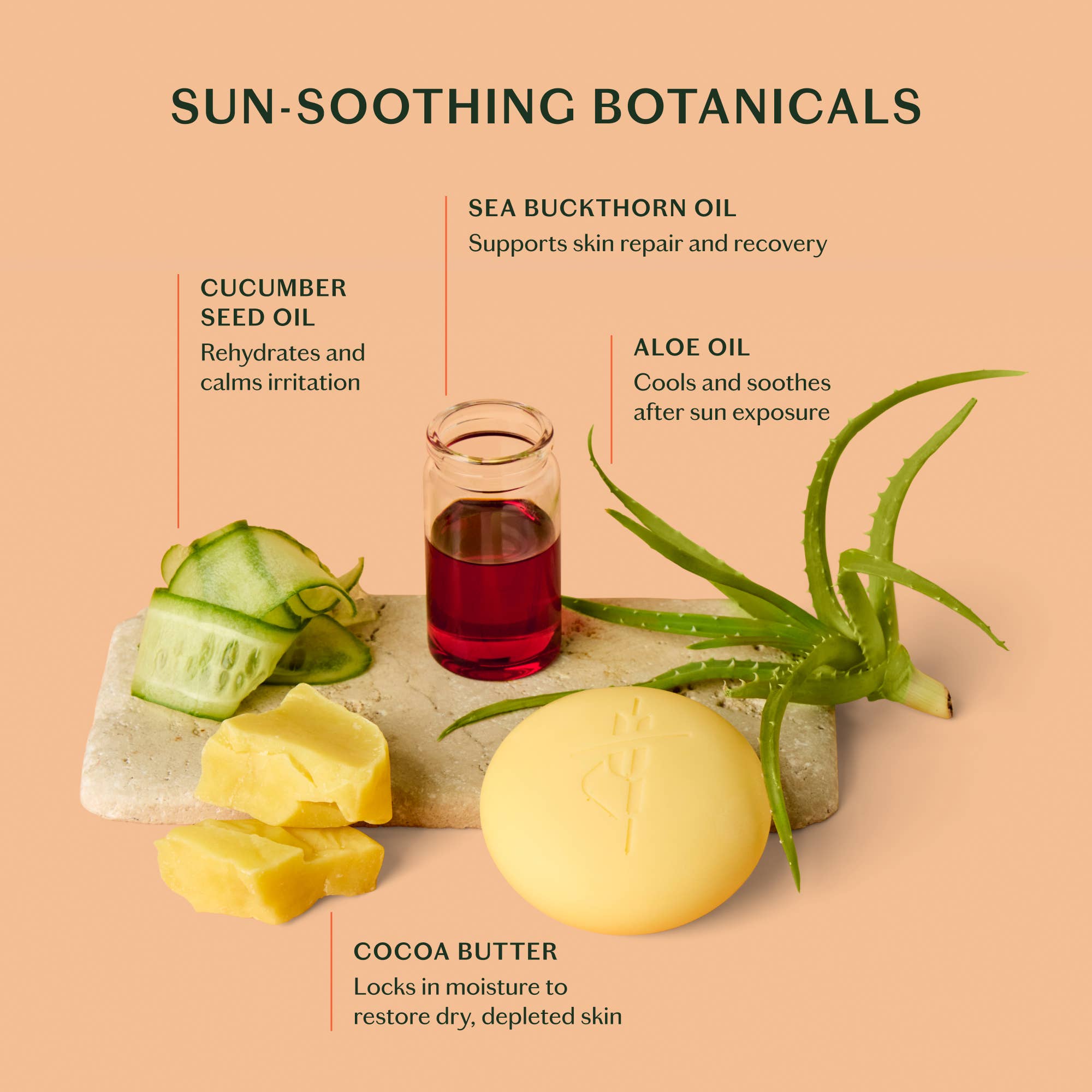 Kate McLeod - Wholesale Aftersun/Sun Damage Repair Cream - The Sun Stone | After Sun Balm & Lotion Bar4