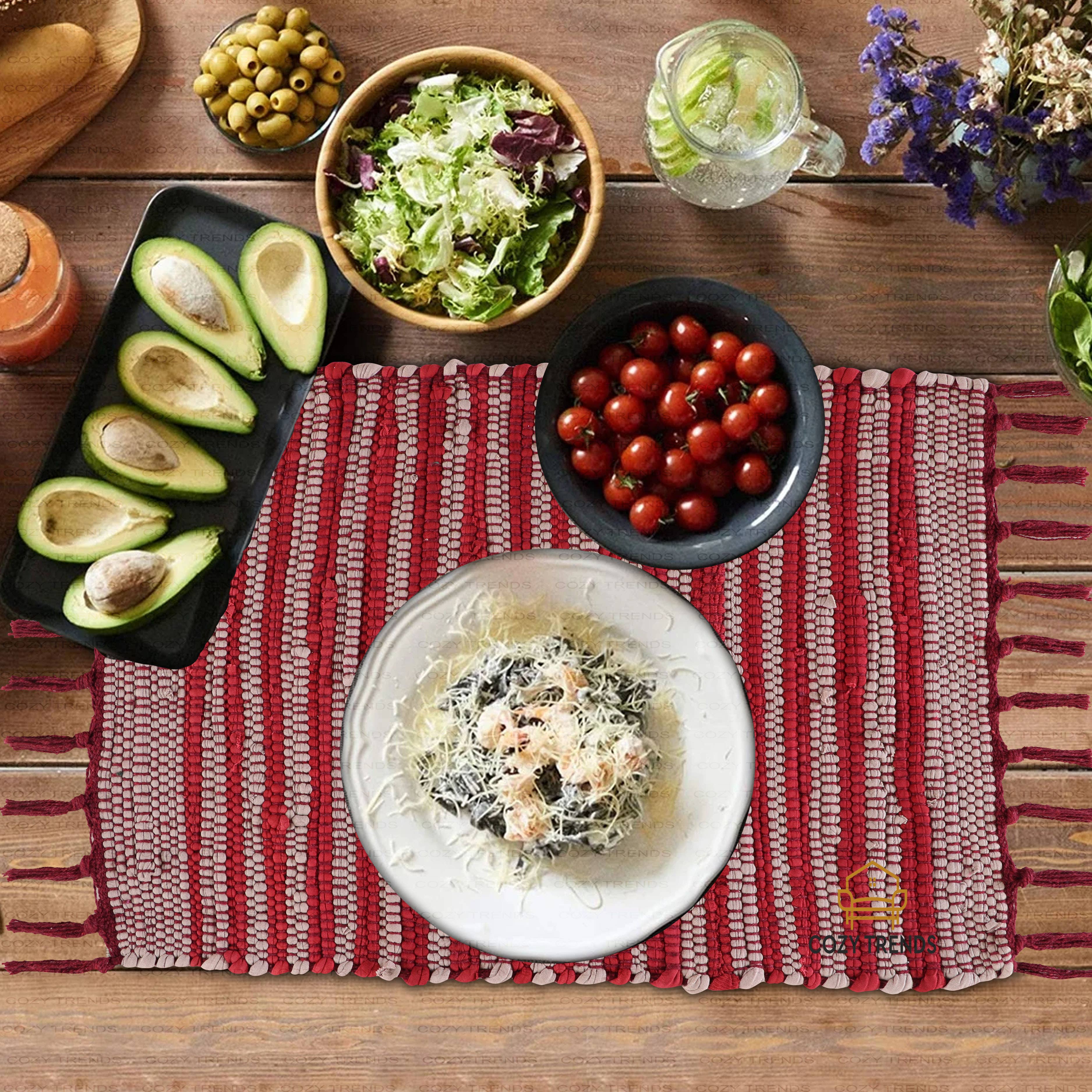 COZY HOMES COLLECTION - Vente Sets de table - Sets de table tissés 100 % coton 14 x 20 pouces avec franges (lot de 2)1