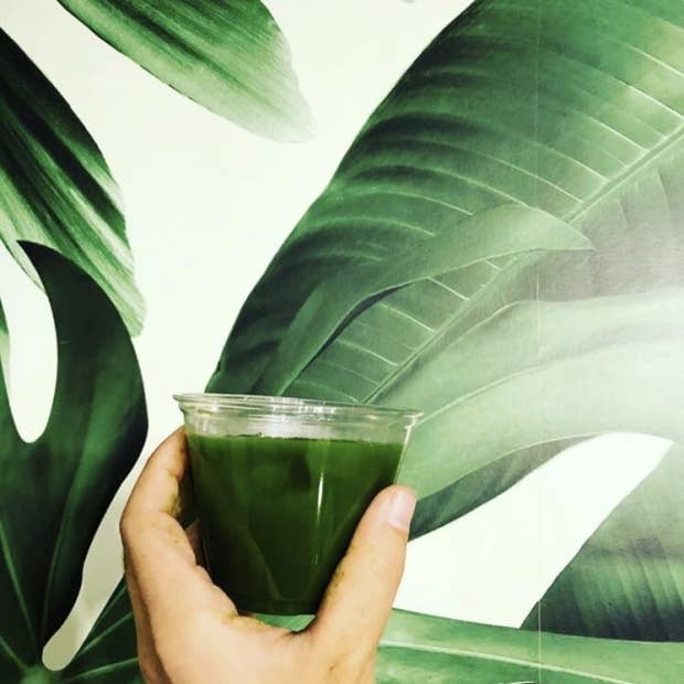 Man Eating Tiger - Wholesale Health/Detox Tea - Matcha 60g Tin6