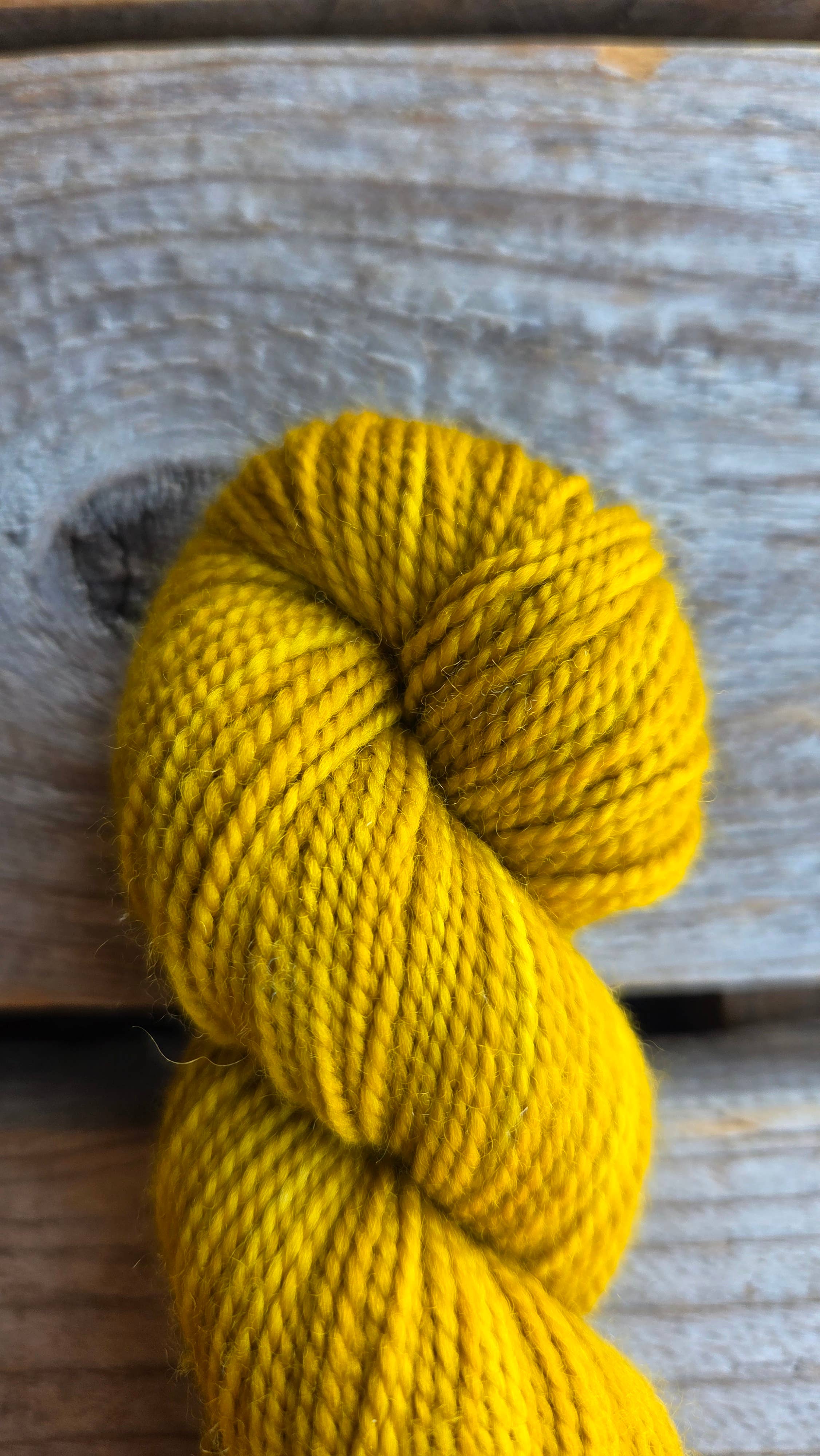 Koigu Wool Designs - Venta al por mayor Hilos - Paleta KPM de vacaciones (hilo de merino fingering)5