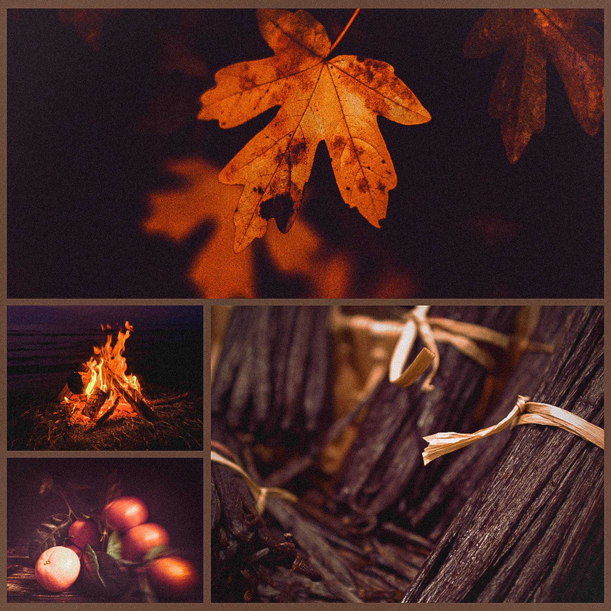 Covencraft Apothecary - Wholesale Bath Salts - Samhain Bath Salts1