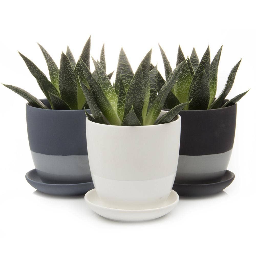 Chive UK – wholesale Plant pot – Dyad 3 Inch Plant Pots And Planters With Drainage Hole0