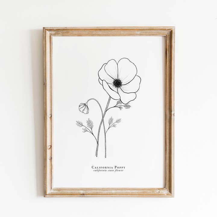Erika Layne Art – wholesale Art print – California State Flower Print | California Poppy Print1
