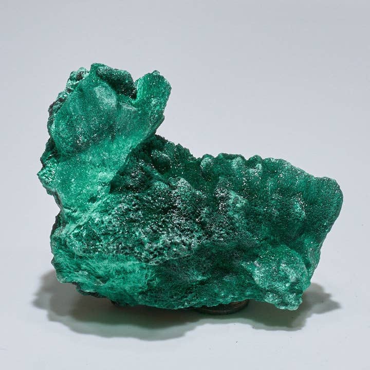 Fibroze Malachiet Collectorsstuk van 0,27 kg voor wholesale door Malachite And More