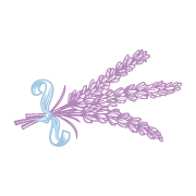 Heritage Bee Co. - Wholesale Honey - Lavender Creamed Honey - 300 g (10.6 oz)2