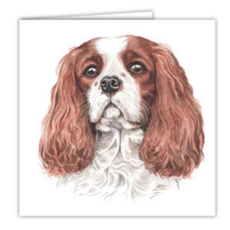 Amaranta Designs - Wholesale Everyday greeting card - Cavalier Kings Charles Dog Card0