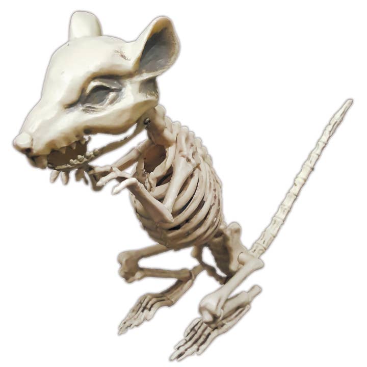 Party Pro - Venta al por mayor Figura decorativa - ESQUELETO DE RATA