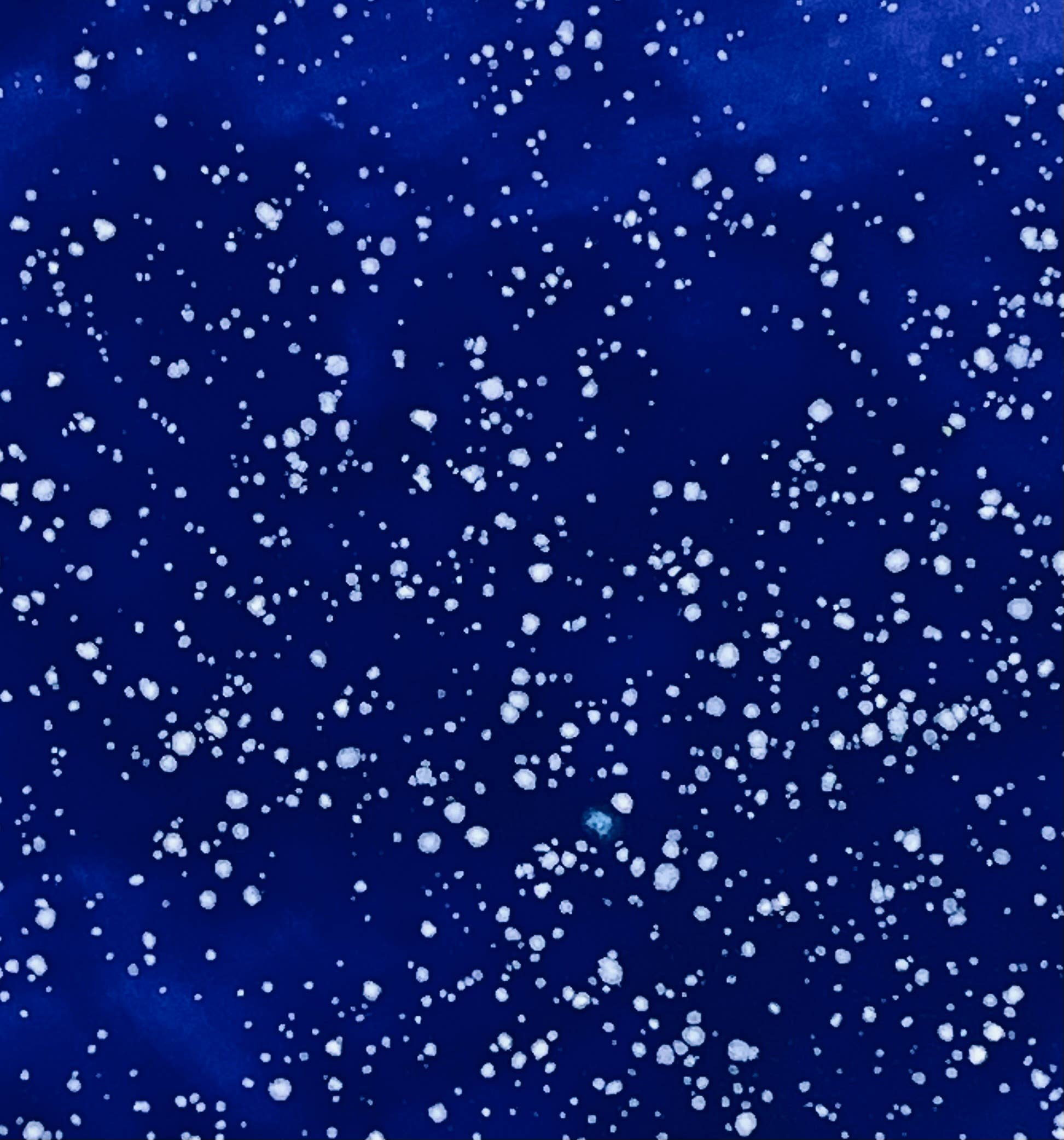 Nori’s Wishes – Großhandel Gewürz-/Dipschale – Salsa-Schüsseln6