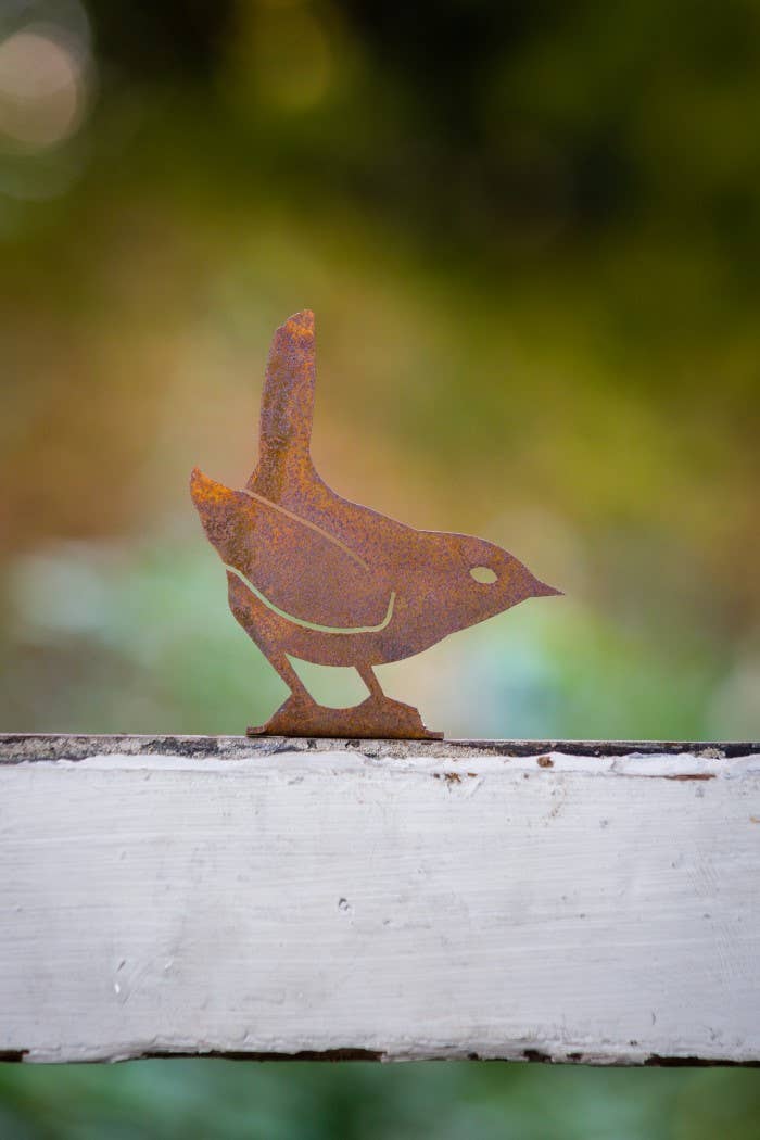 Elegant Garden Design - Vendita all'ingrosso Ornamenti/decorazioni per esterni - Scheda Scricciolo Invernale7