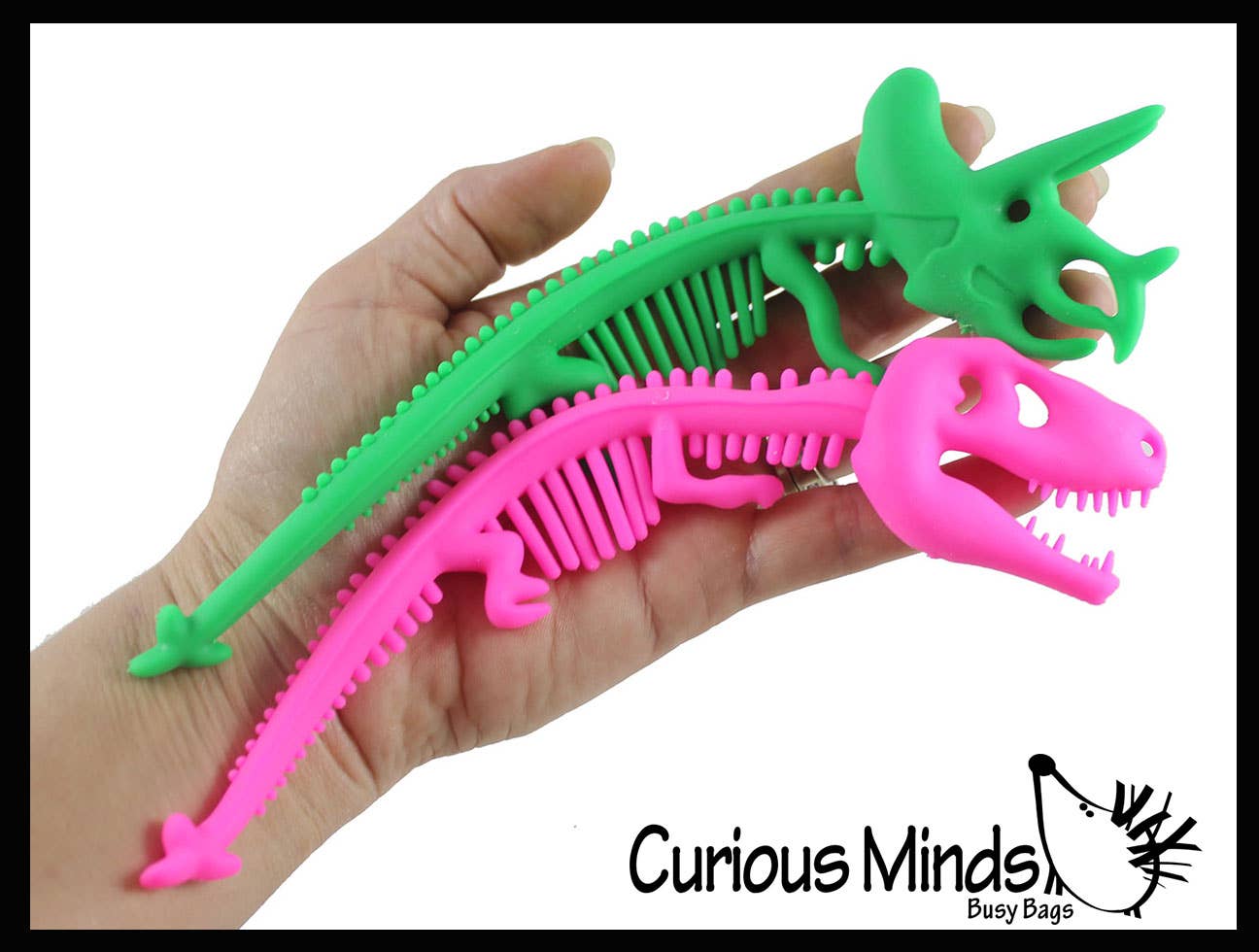 Curious Minds Toys – Großhandel Fidget Toy – Kinder – 1 x dehnbares Nudelband mit Dinosaurierskelett und fossilem Knochen0