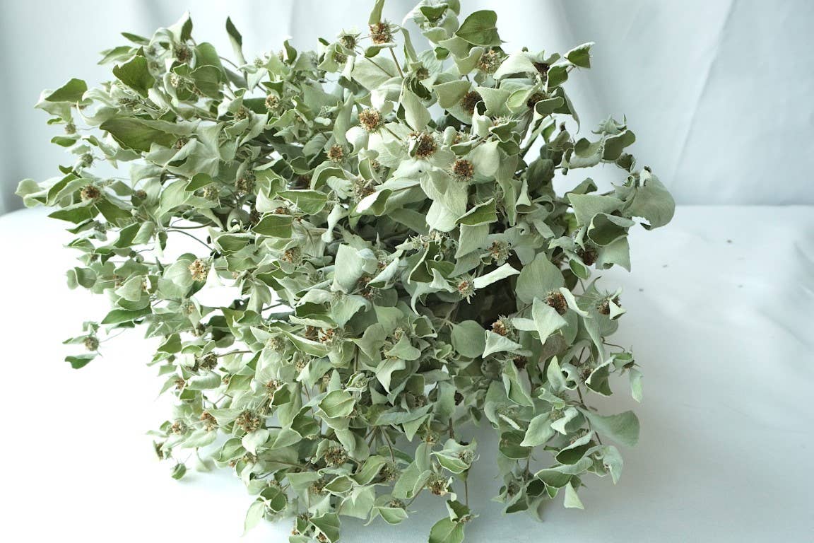 Fence Post Florals - Wholesale Dried/Pressed Flowers - Mint-Mountain, Dried Flowers, Wedding flowers3