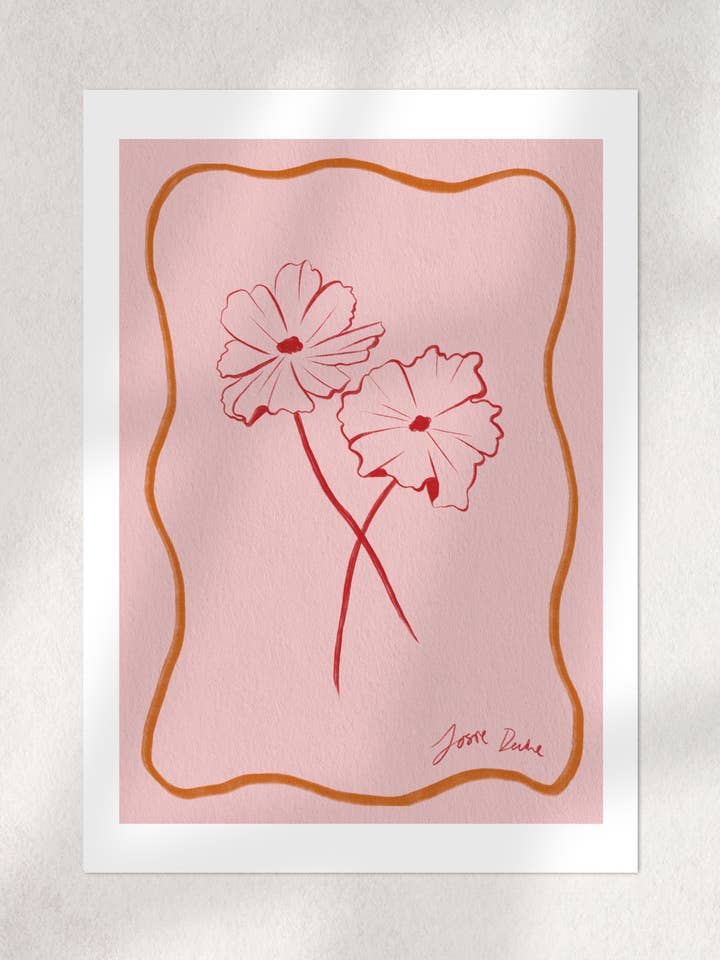 Cosmos for wholesale by Josie Devine