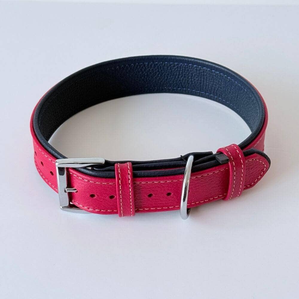 GAD Roots – Engroshandel Halsbånd - Hund – Premium polstret flyder læder hundehalsbånd – Rød & Marineblå1