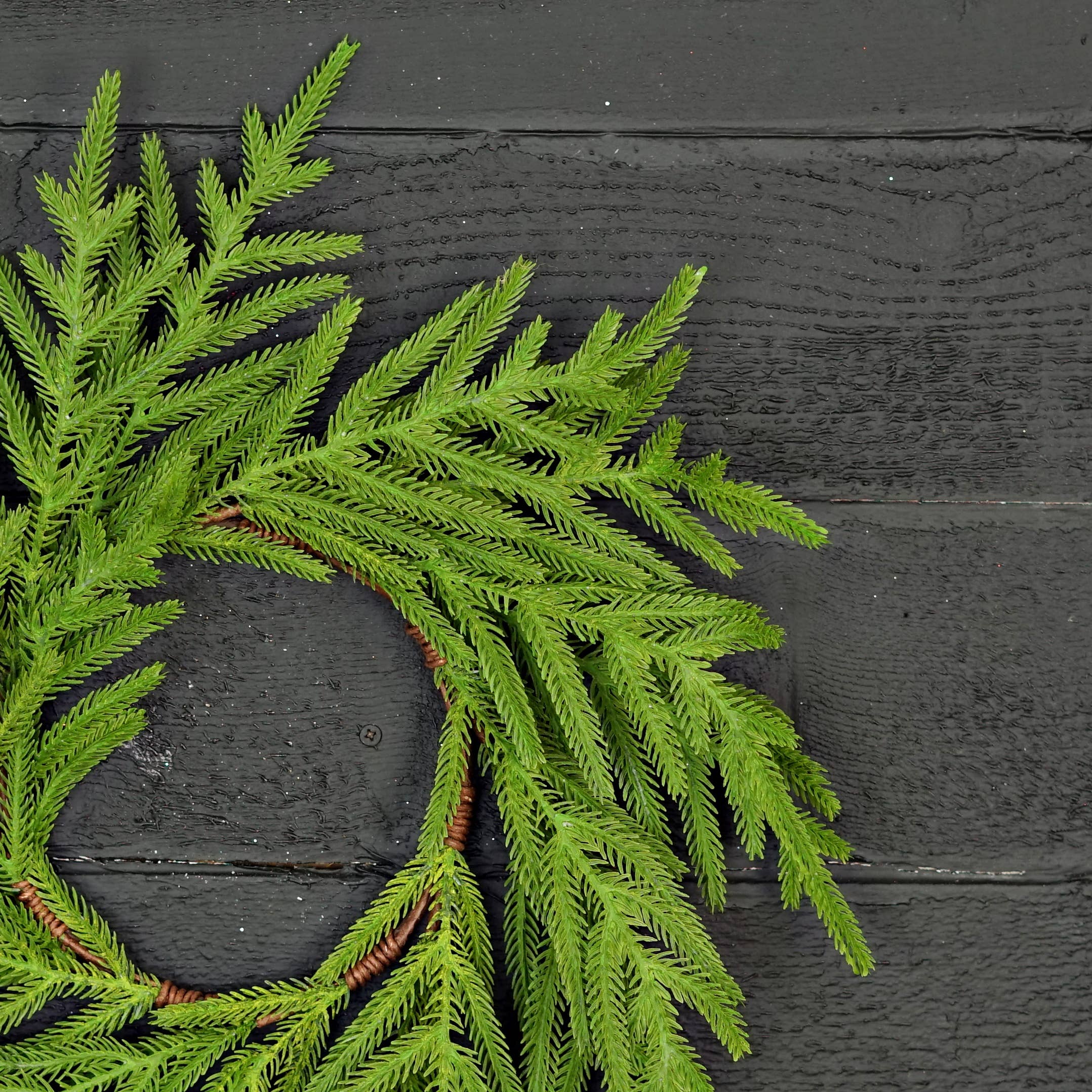 Holiday Depot Inc. - Wholesale Wreath - 510702- 18in(6.5)Wreath-Soft Touch Evergreen Norfolk Pine-2