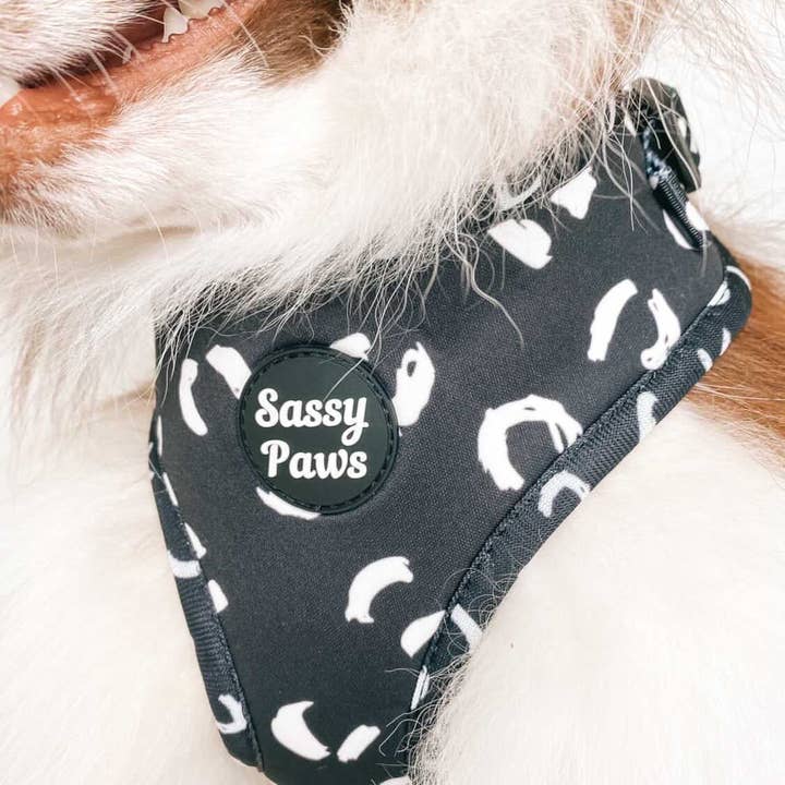 Sassy Paws Collection - Vente Harnais – chien - Harnais pectoral pour chien - « Black Panther »2