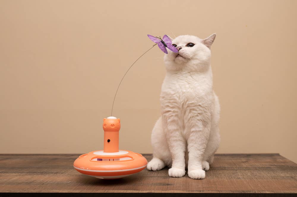 Caitec Inc - Wholesale Pet Toy - Cat - NALA cat toy Motorized Butterfly Spinner2