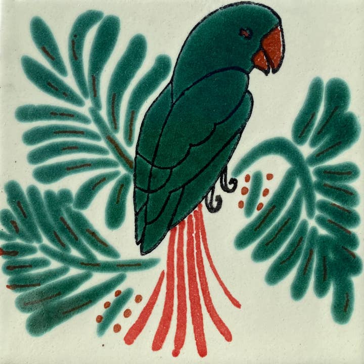 BR-04-55 per la vendita all'ingrosso da parte di Place of Clay