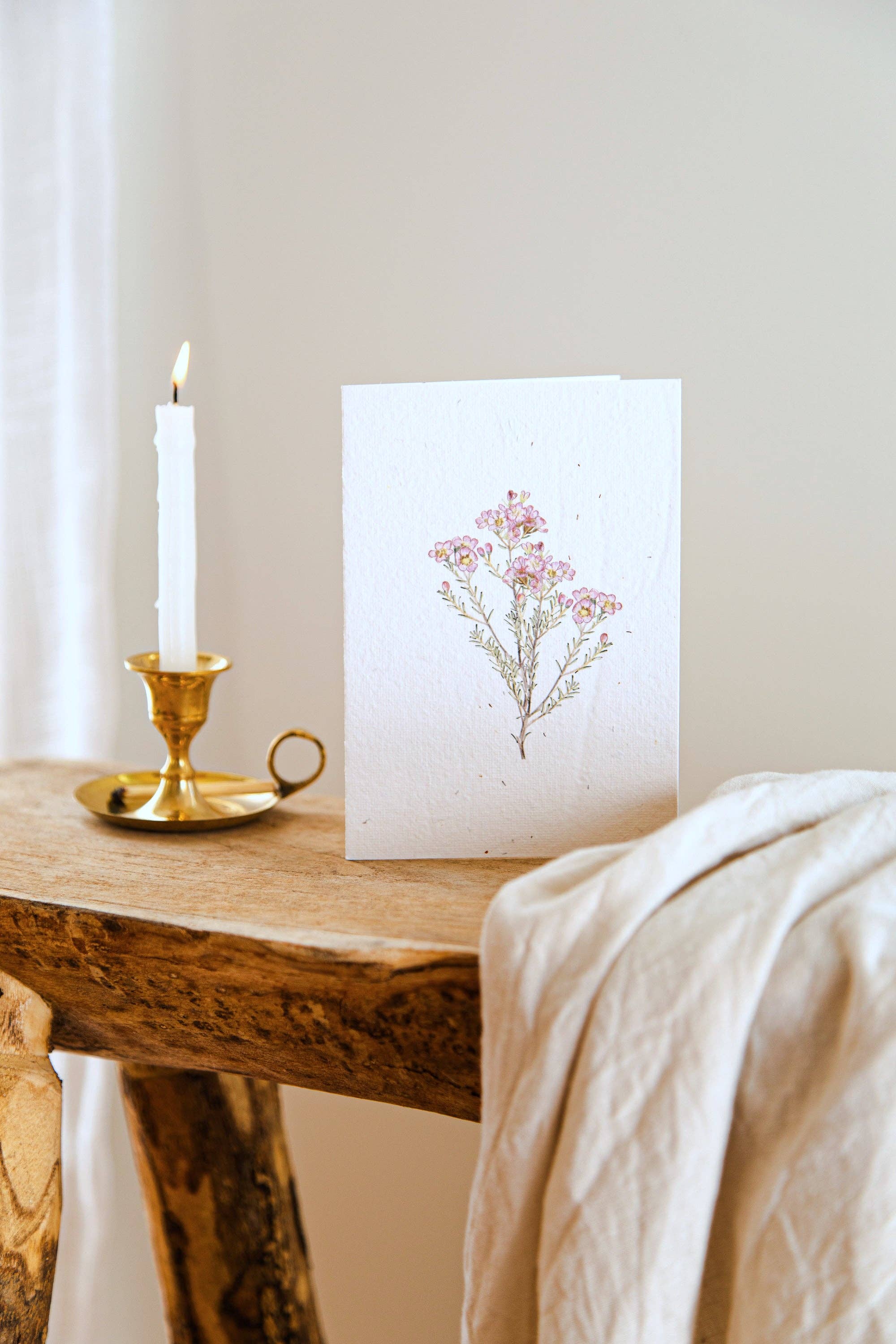 treasureinventory - Venta al por mayor Tarjetas de felicitación - Botánicos Australianos // Tarjetas Plantables // Paquete de 27 Tarjetas11