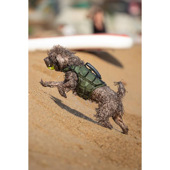 Noah and paw - Wholesale Pet Jacket - Dog - Human Standards Dog Lifejacket Design with 3x Foam Support for Max Floating - Green