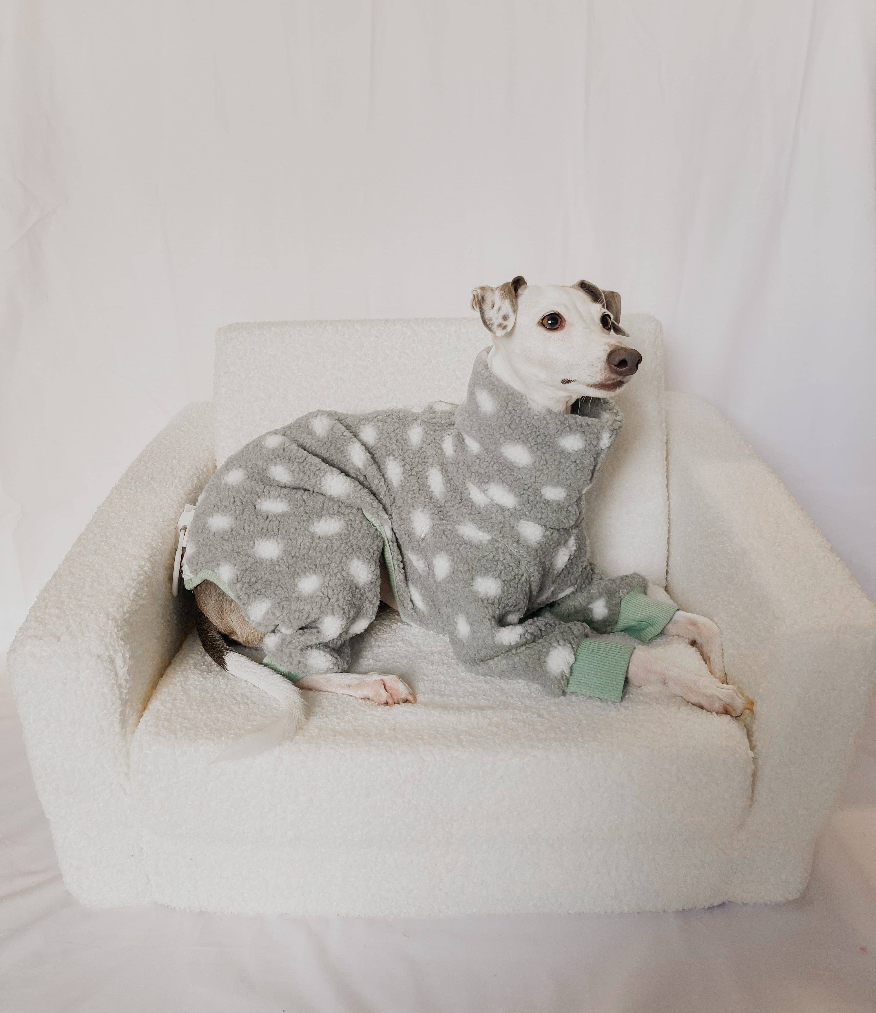 Bossy by Boston – Großhandel Haustier-Pullover – Hund – Palm Zipper Sweater: Komplettanzug1