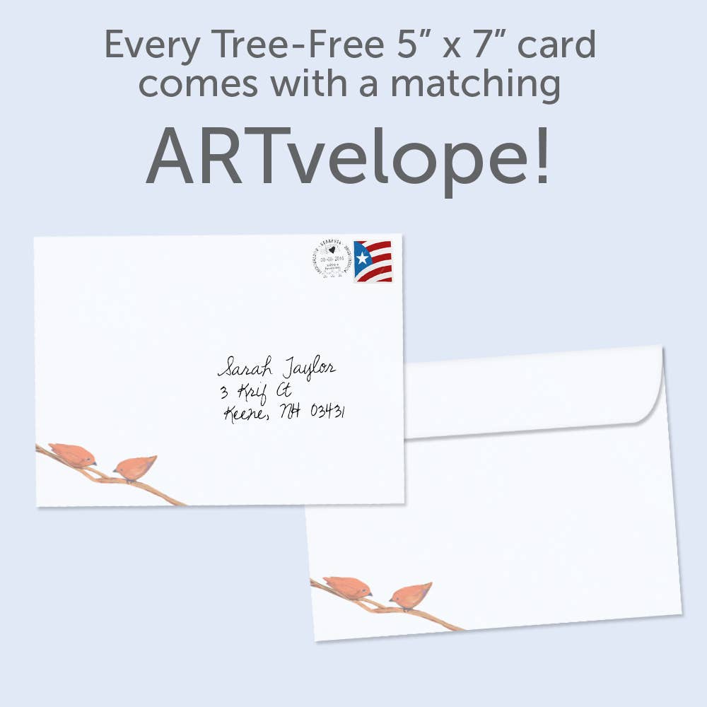 Tree-Free Greetings - Wholesale Birthday Card - Bird Celebration Birthday 6 Pack 211802