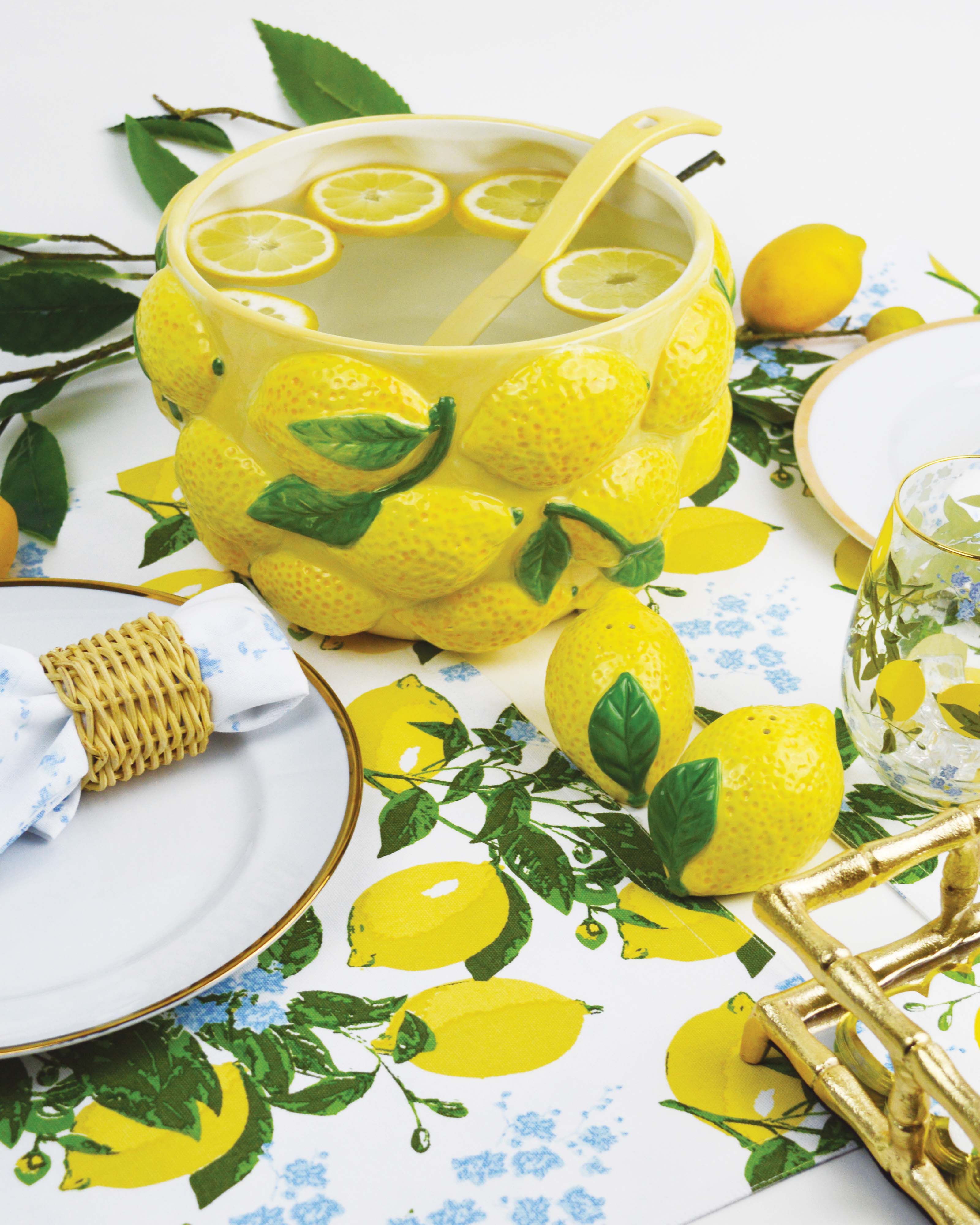 8 Oak Lane – Engroshandel Salt- og peberbøssesæt – Salt- og peberbøsse sæt med citron i æske3