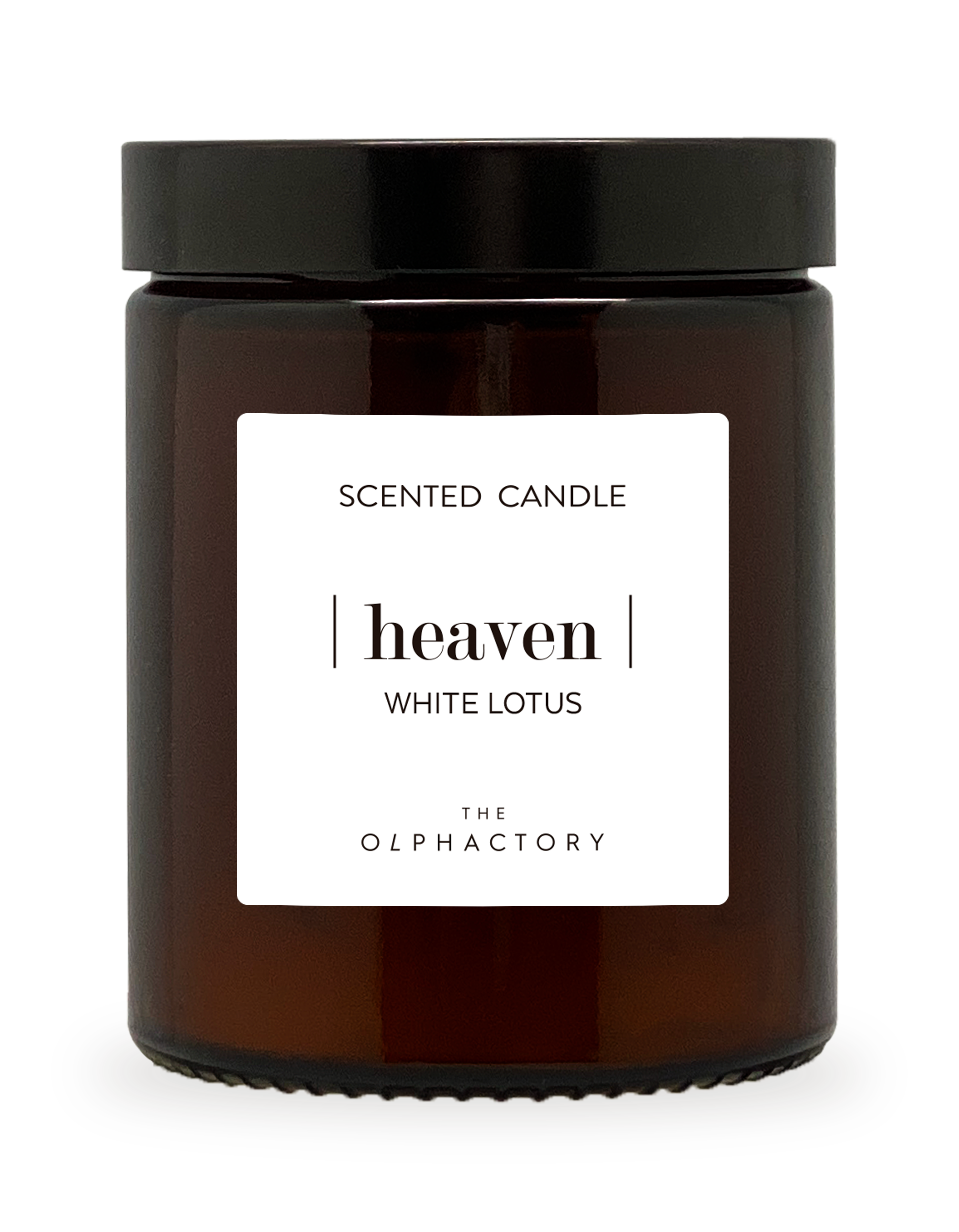 SEVENREEDS - Venta al por mayor Velas en tarros - Vela cera vegetal THE OLPHACTORY WHITE LOTUS 135g6