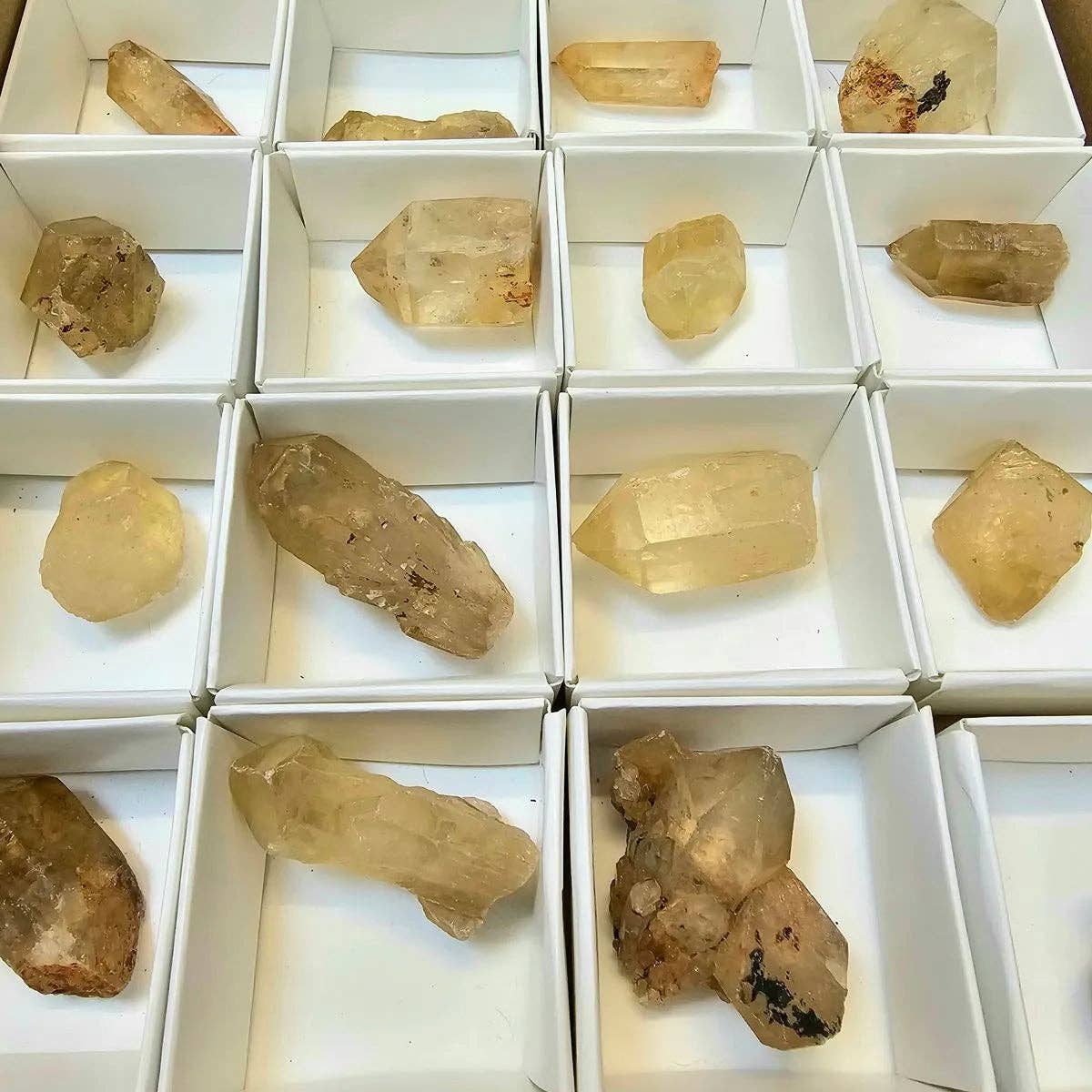 Distinction Crystals - Wholesale Spiritual Stone/Crystal - Natural Kundalini Citrine Tray Deal2