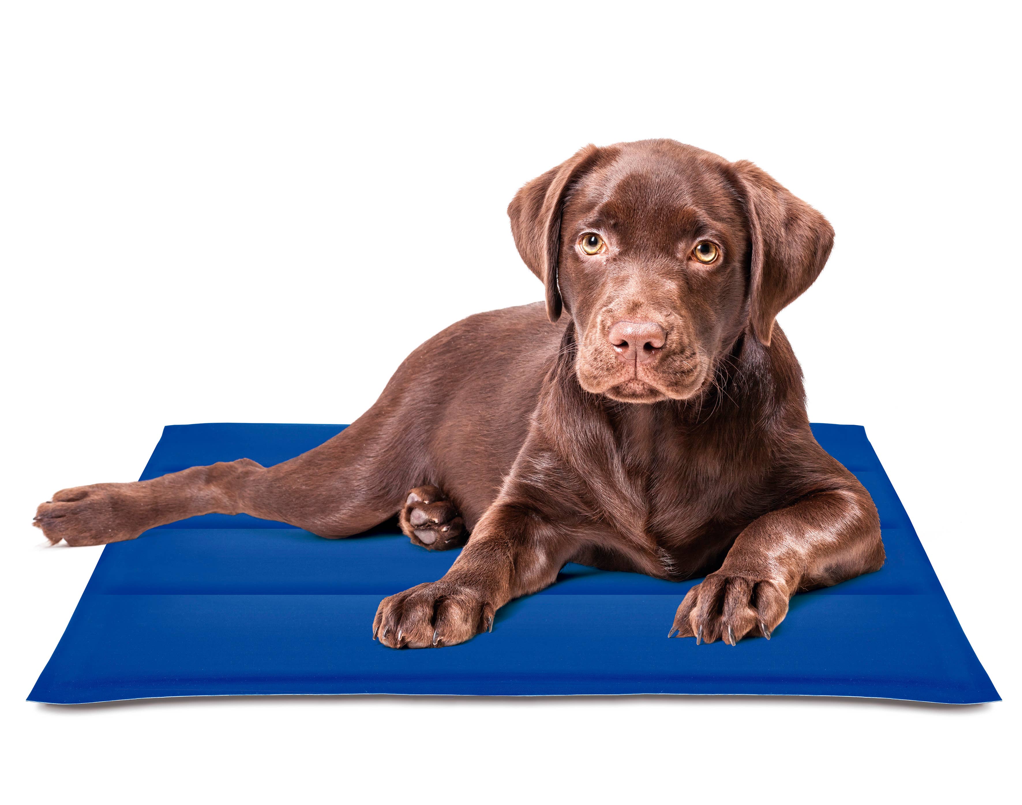 Blue Cool Mat Cool Mat Dog for wholesale on Faire4
