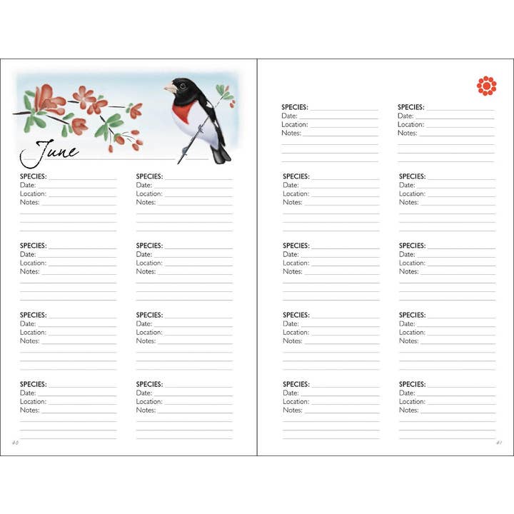 AdventureKEEN - Wholesale Journal/Diary - Birding Journal2