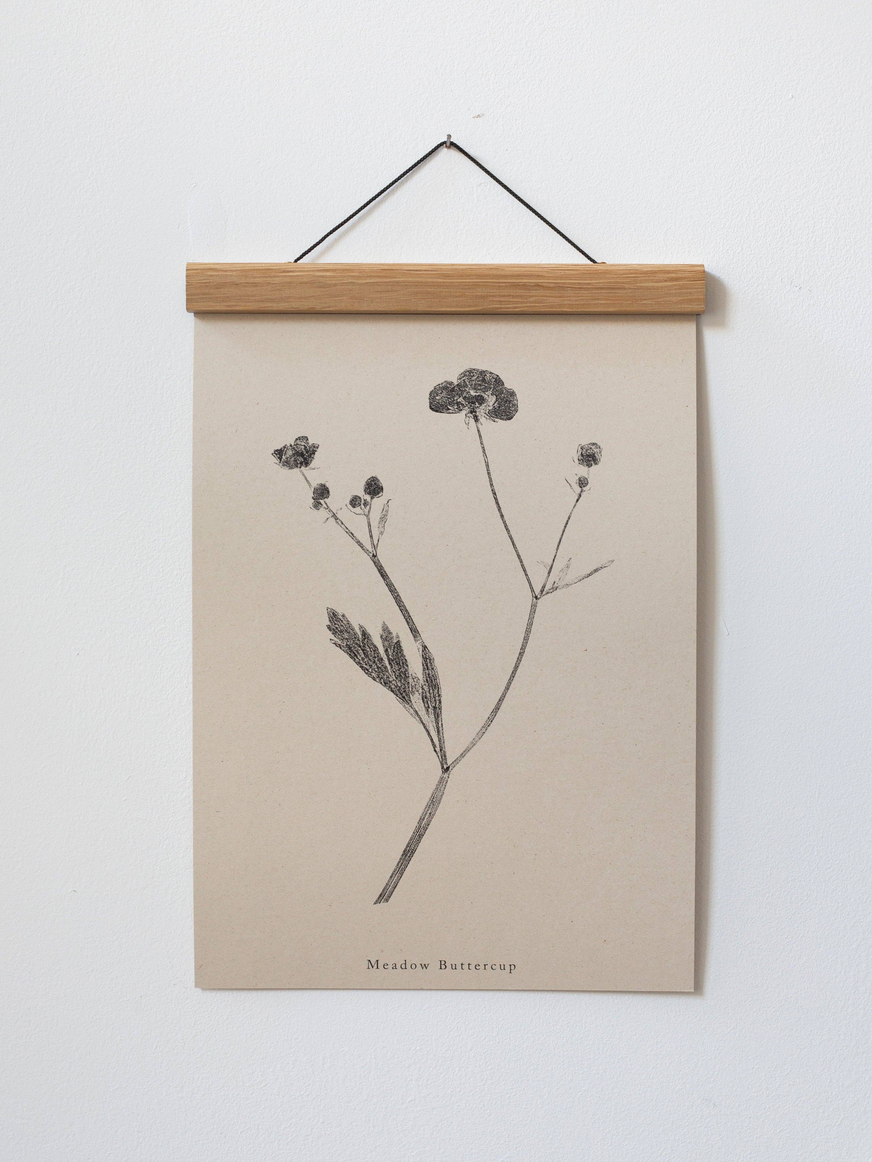 Alicia Breakspear - Wholesale Art Print - Botanical Art Print A5 A4 A3 Meadow Buttercup Flower 7