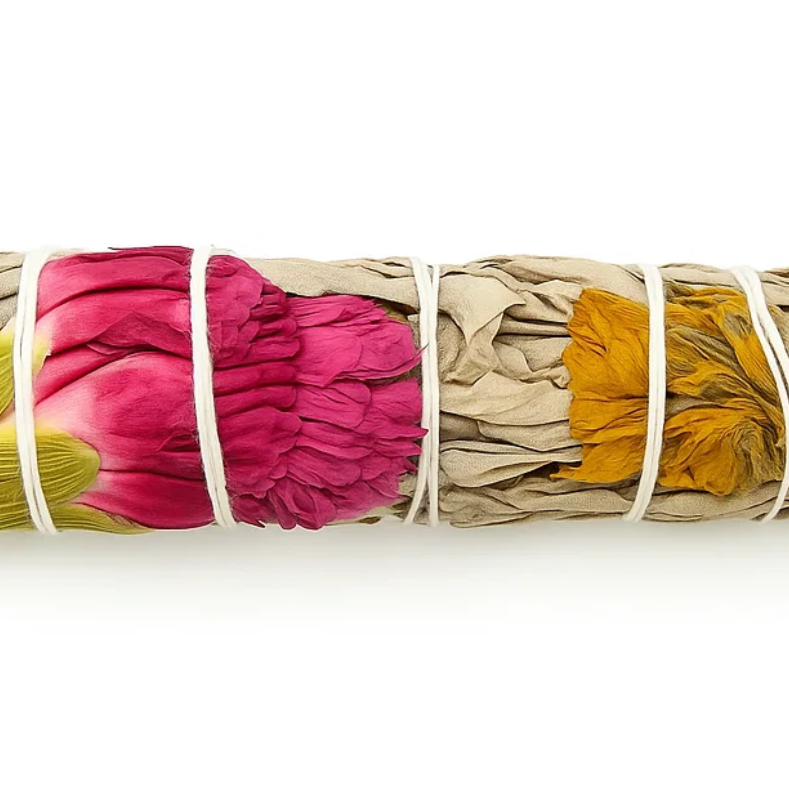 Green Tree – Pacote de sálvia por atacado – Sálvia Nativa Alegria 10cm1