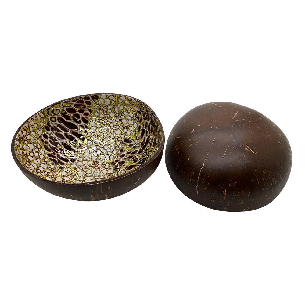 VIE - Wholesale Decorative Plate/Dish/Bowl - Hand-Painted Coconut Bowls, Lacquered, Set of 234