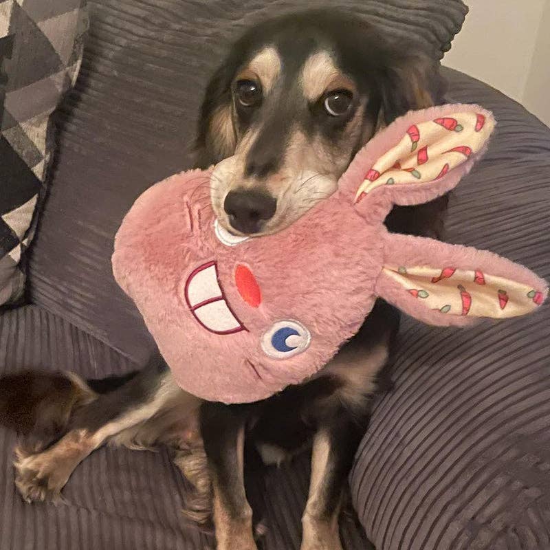 WufWuf – wholesale Pet plush toy – Dog – WufWuf Rabbit In The Egg Shell Interactive Plush Dog Toy5