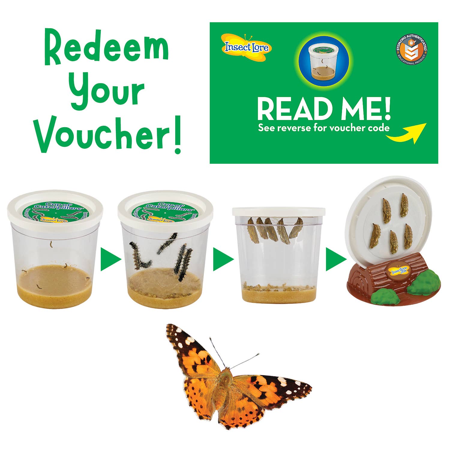 INSECT LORE - Wholesale Classic Toy - Kids - Original Butterfly Garden® Growing Kit with Voucher 2