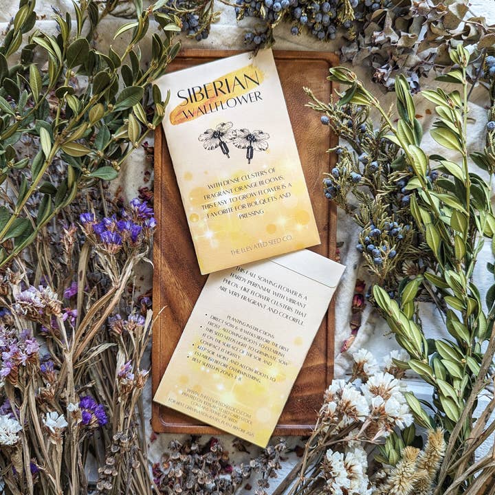 The Elevated Seed Co. - Wholesale Plant Seeds - Siberian Wallflower Seeds0