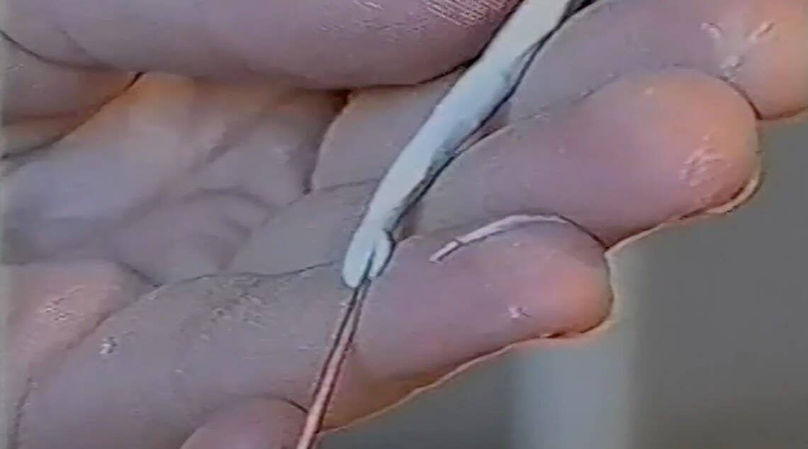 Dame Darcy - Wholesale DIY Craft Kit - Dame Darcy Doll Making DVD5