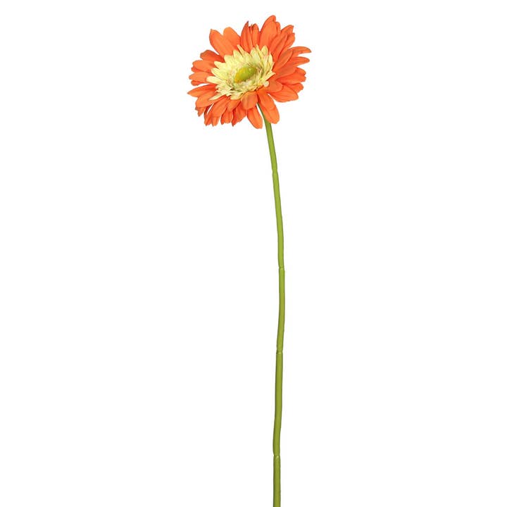 Vickerman 21" Gerbera Daisy - Orange 6/pk for wholesale by Vickerman