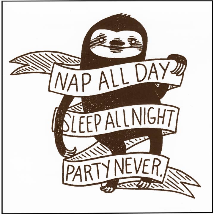 Sticker - "Nap All Day, Sleep All Night, Party Never" for wholesale by Square Deal Recordings & Supplies