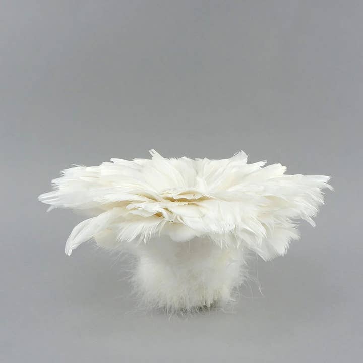 Zucker Feather Products – wholesale Hantverkstillbehör – Goose Coquille fjädrar färgade vita