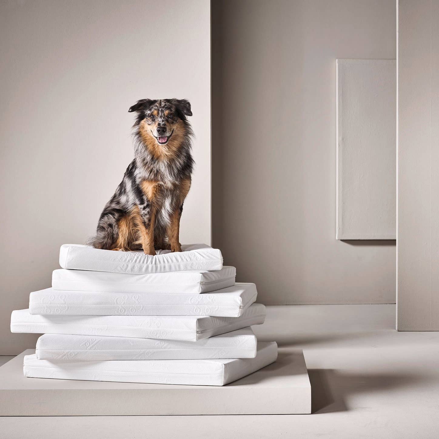 LABONI - Volentis GmbH - Wholesale Pet Bed - Dog - OrthoMattress - Premium mattress for healthy sleep1