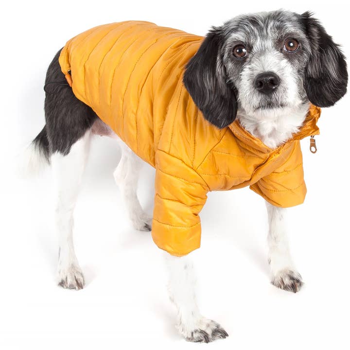 Pet Life – Engroshandel Overtræk - Hund – Letvægts Justerbar 'Sporty Lavine 'Pet Coat4